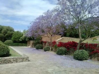 Eco Village Baia Delle Ginestre - 16