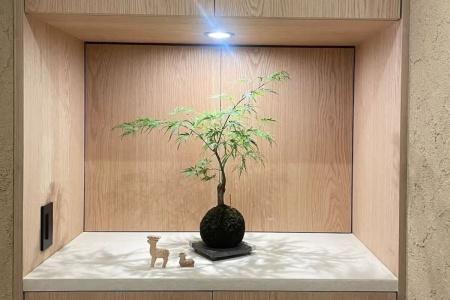 New Wakasa - 200