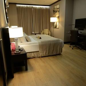 Crowne Plaza Bursa Convention Center & Thermal Spa, An Ihg - 43