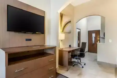 Comfort Suites Bush Intercontinental Airport - 36