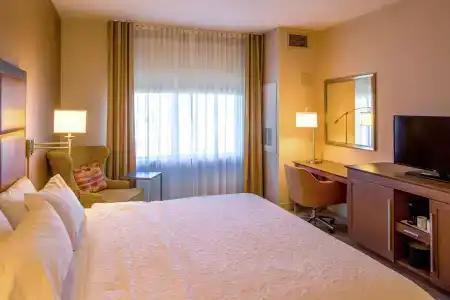 Hampton Inn Houston Downtown - 24