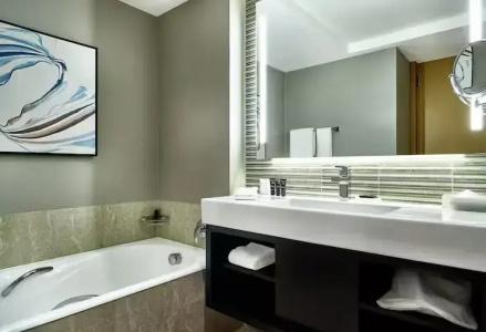 Hilton Sao Paulo Morumbi - 71