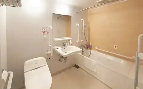 Sotetsu Fresa Inn Tokyo Kanda - 32