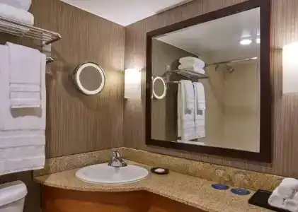 Sheraton Atlanta - 45
