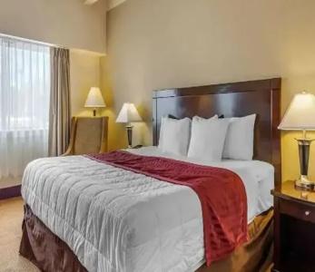 Quality Inn Denver Downtown - 42