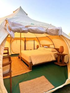 Umm Al Quwain Beach - 83