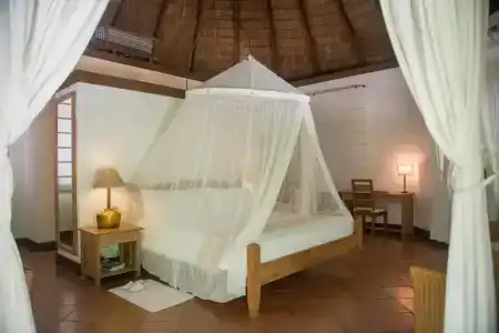 Coco Palm Dhuni Kolhu - 26