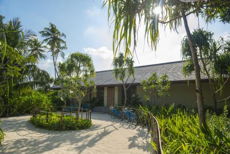 The Residence Maldives at Dhigurah - 77