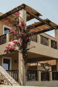 Candia Park Village - 21
