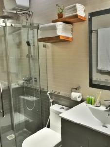 Airport Comfort Inn Premium - 29