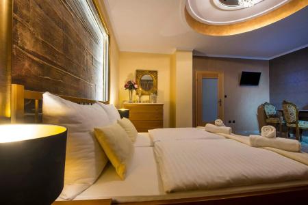 Pension Vila Mery - 2