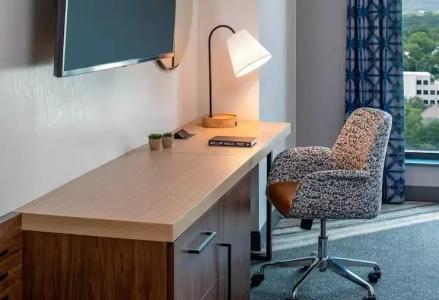 Hilton Garden Inn Austin University Capitol District, Tx - 35