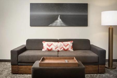 SpringHill Suites by Marriott Dallas Downtown / West End - 67