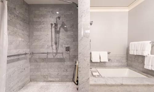 Waldorf Astoria Chicago - 87