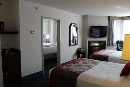 Ramada Plaza Airport and Conference Centre - 42