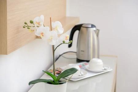 Sentido Fido Punta del Mar & Spa - Adults Only - 44