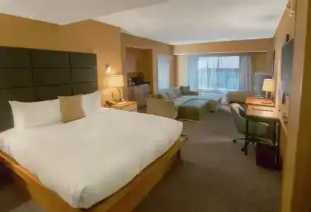 DoubleTree by Hilton New York - 59