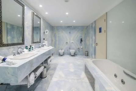 Radisson Blu, Kayseri - 121
