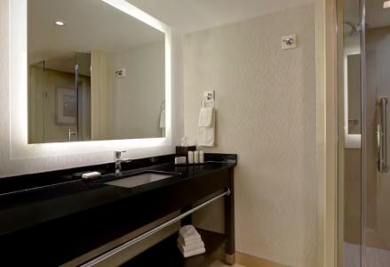 Embassy Suites by Hilton/ Fallsview - 77