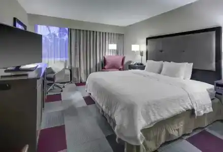 Hampton Inn Miami-Coconut Grove/Coral Gables - 64