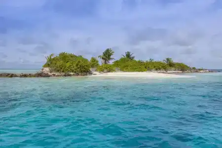 Vaali Beach Lodge Maldives - 24