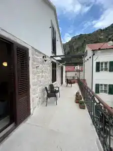 Kotor Nest - 120