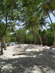 Acqua Blu Rasdhoo - 23