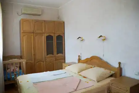 SanAlex - 5