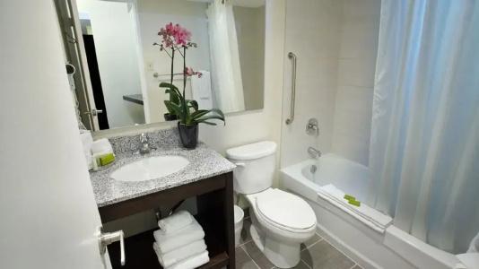 Town Inn Suites - 72