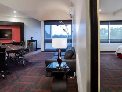Holiday Inn Mexico Dali Airport, An Ihg - 67
