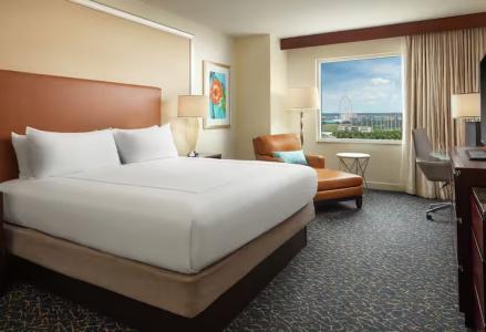 Hilton Orlando - 27