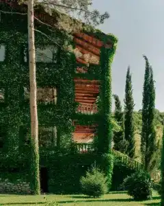 Lopota Lake Resort & Spa - 18