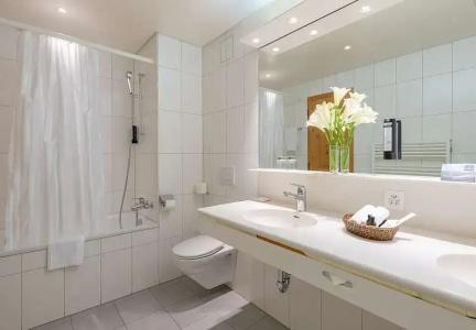 Sunstar & SPA Grindelwald - 83