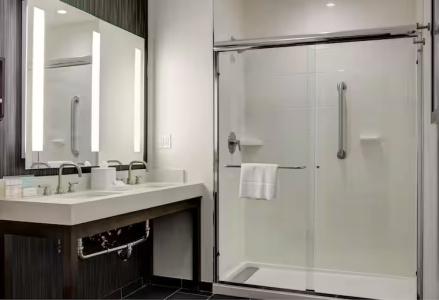 Hampton Inn Brooklyn Downtown - 48