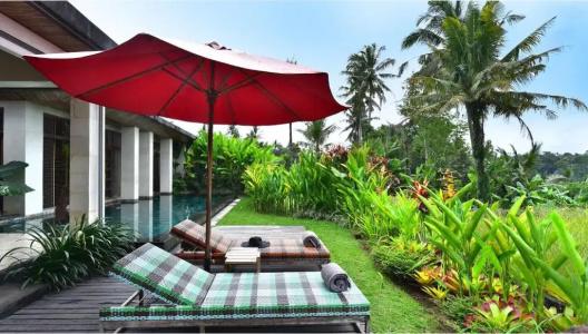 Chapung Sebali - 50