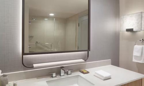 Hilton Anatole - 47
