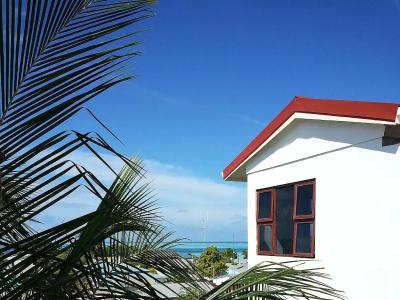Tropic Tree Maldives - 25