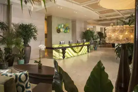 The Palms & Spa - 1