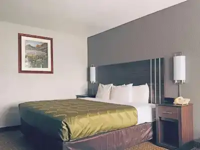 Quality Inn - 36
