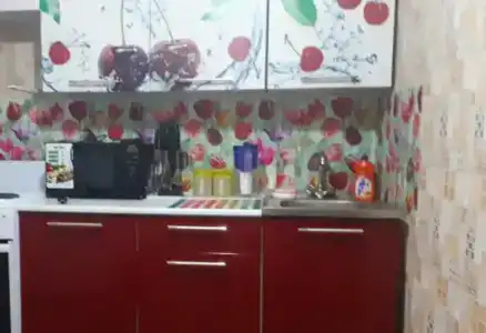 Соломон - 8