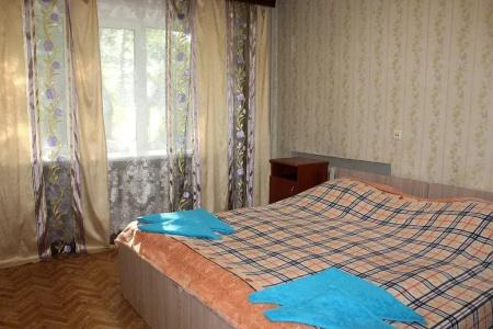 Спутник - 1