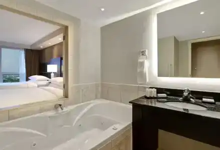 Embassy Suites by Hilton/ Fallsview - 63