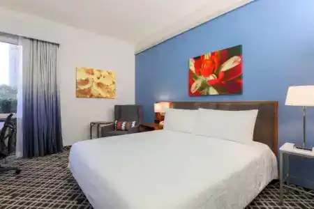 Hilton Garden Inn Dallas/Market Center - 42