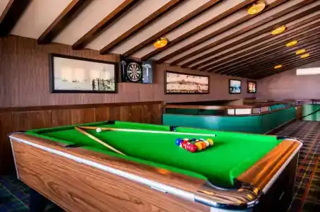 The Olive Tree - 19