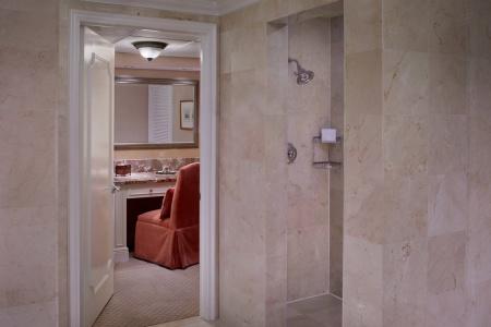 The Ritz-Carlton Coconut Grove, Miami - 72