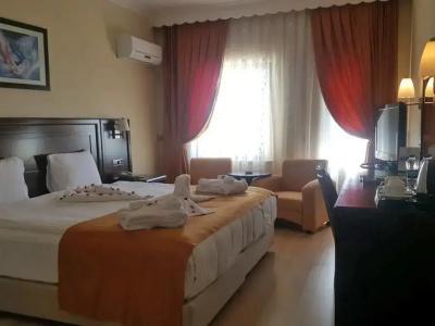 Eser Diamond Spa & Convention Center İstanbul - 24