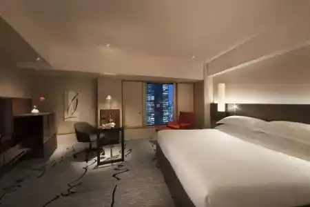 Hilton Tokyo - 7