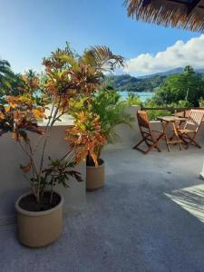 Blue Lagoon Chalets - 13