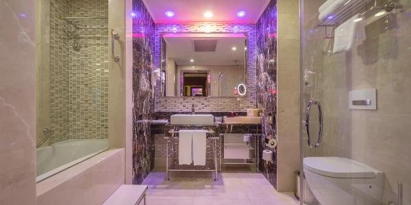 Grand Millenium - 76