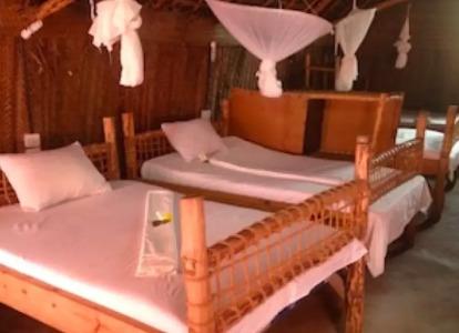 New Jambo Bungalows - 5